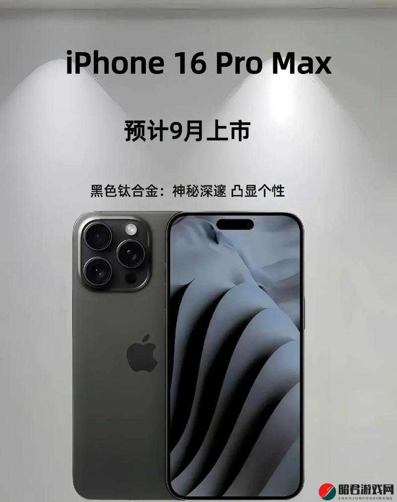 日本iphonepromax引领科技潮流