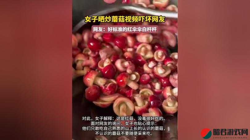 蘑菇视频黑料爆料：究竟隐藏着怎样的秘密