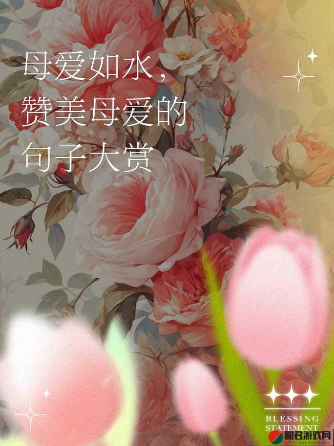 在母爱的芬芳中品味人生的真谛