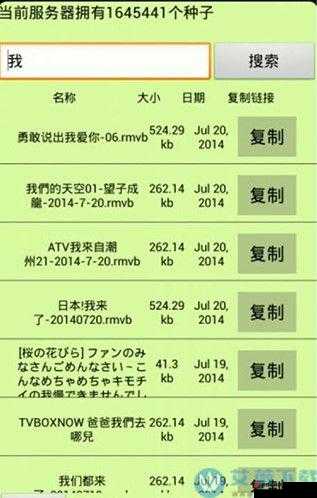 btkitty 专业 bt 种子搜索神器：助你轻松找到各类资源的利器