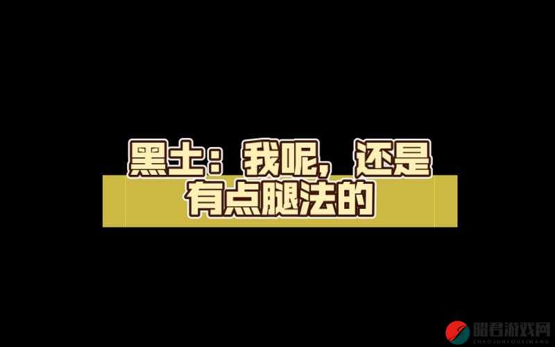 黑土腿法娴熟脚法精湛视频：展现独特技艺的精彩瞬间