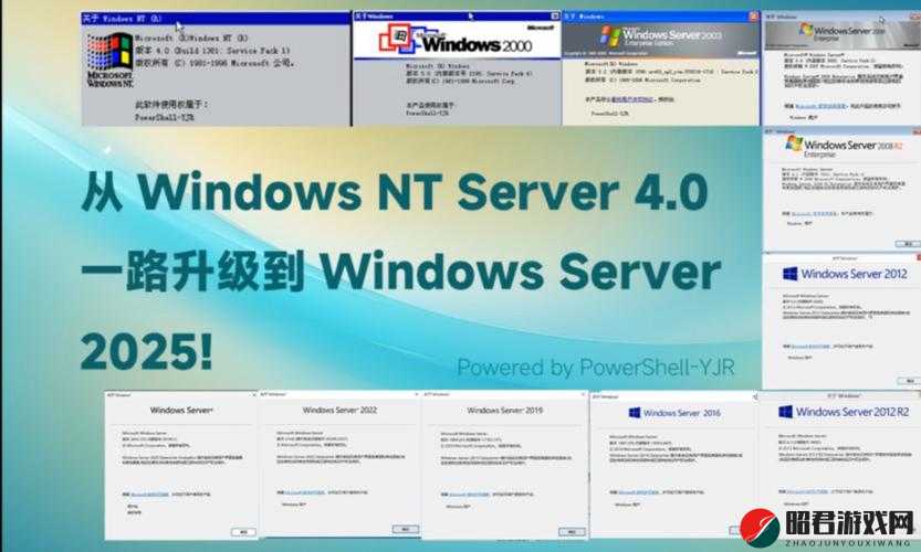 日本 WindowsServer 片 ：其技术特点与应用场景