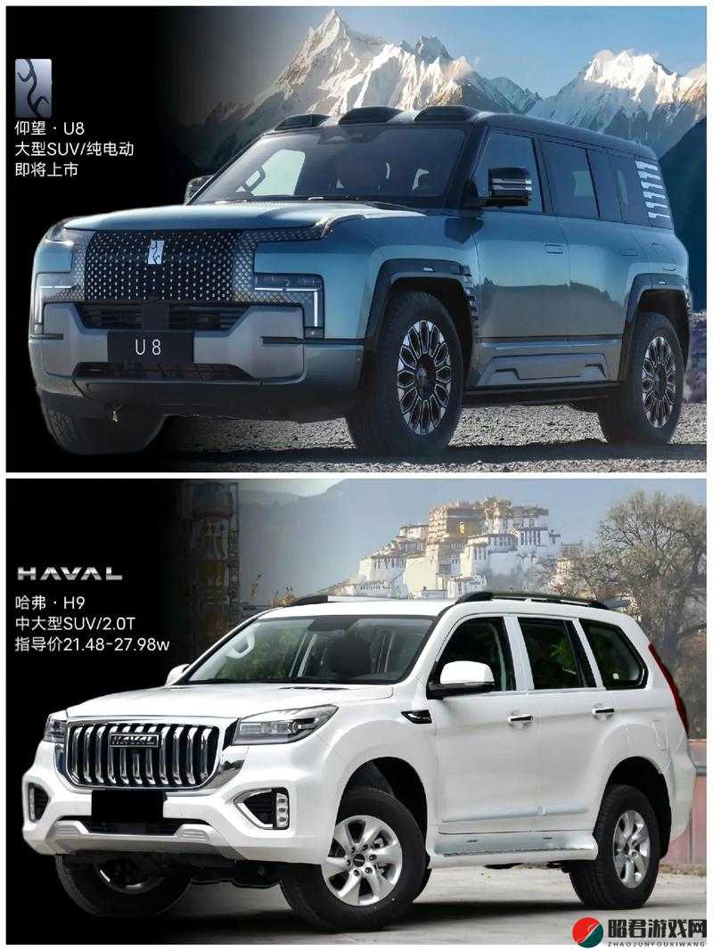 WEYVV5 国产 SUV 的虚拟赛车化：极致速度与激情的演绎