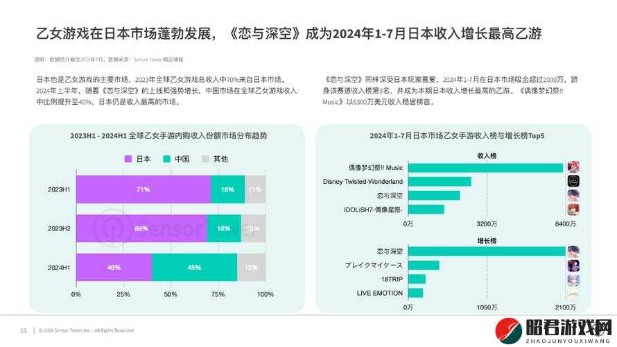 日本市场中 jagnexsmax 的独特表现与发展态势