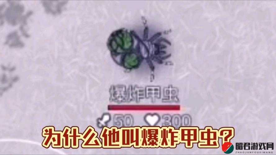 阿瑞斯病毒游戏中爆炸甲虫的有效打法技巧与攻略介绍