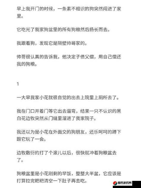 混乱小镇售票员用 B 验票引发的奇妙故事