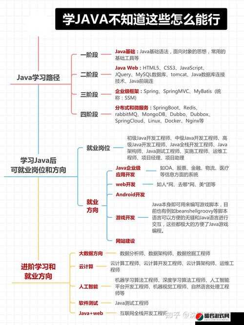 女生 java 能干多久：探讨其在行业中的职业发展前景与时长