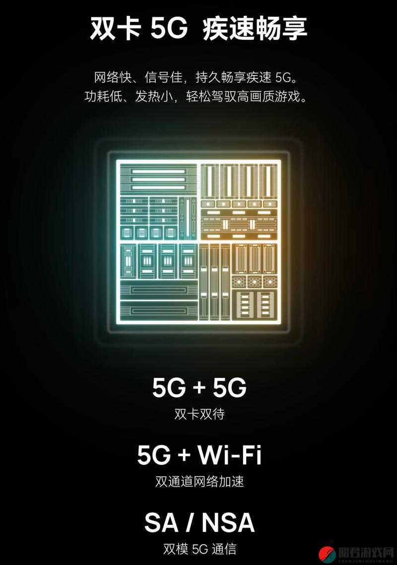 5G 天天爽：畅享极速网络，体验无限可能