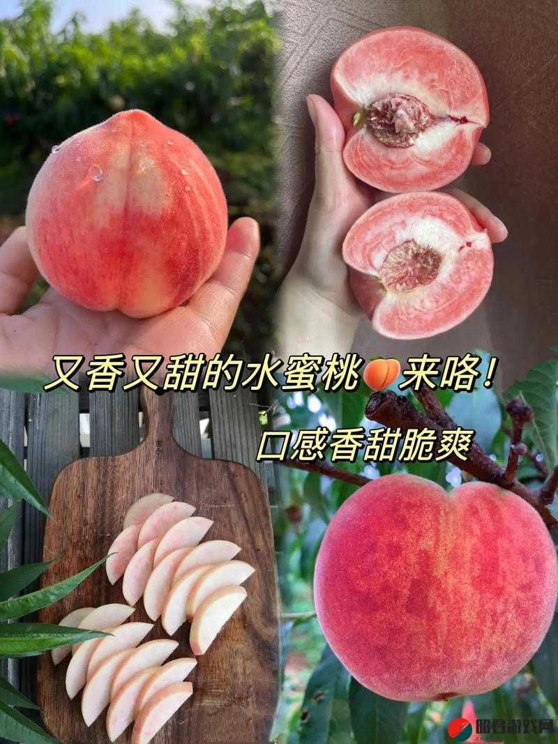 蜜桃 95com：探索甜蜜的蜜桃世界