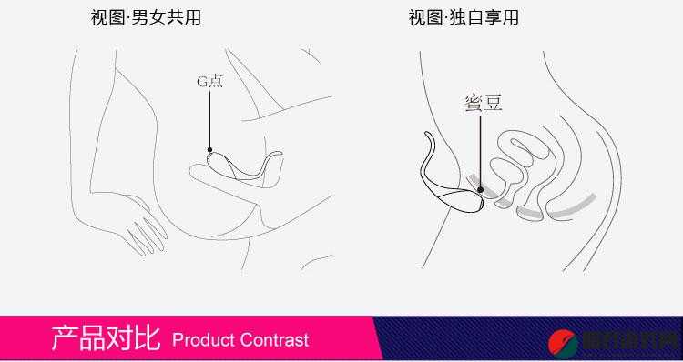 双跳dan怎么用放在哪：与使用指南分享