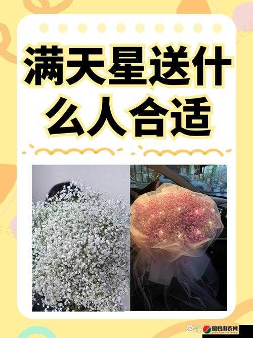 完美妻子满天星：诠释理想伴侣的温柔与智慧