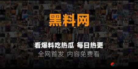 黑料社今日黑料独家爆料正能量之探寻背后的故事与意义