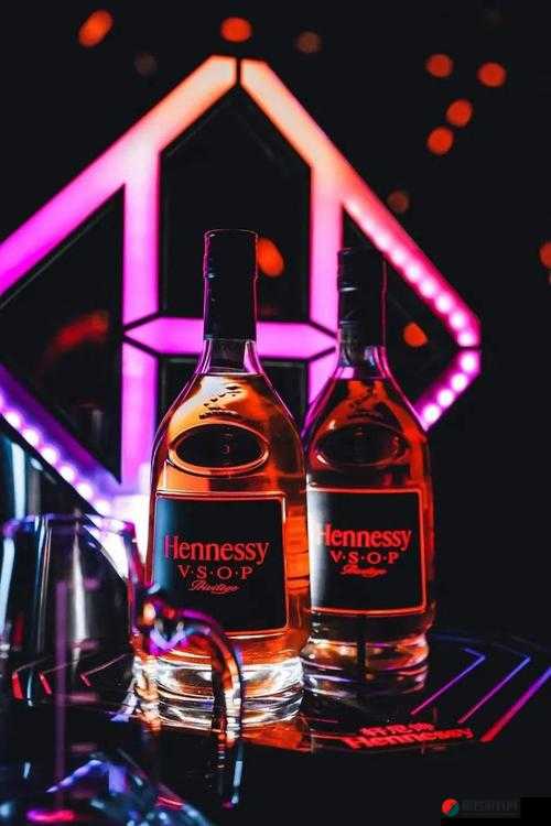 hennessy 女 rapper 超清晰色彩度之独特魅力展现与风格解读