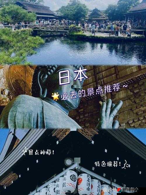 激情释放：探索无尽的日本免费图片之美