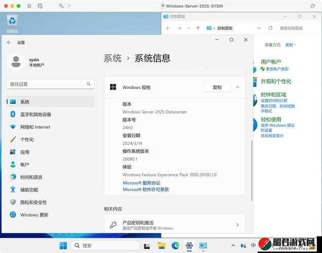 日本 Windows Server 相关技术特点与应用场景分析