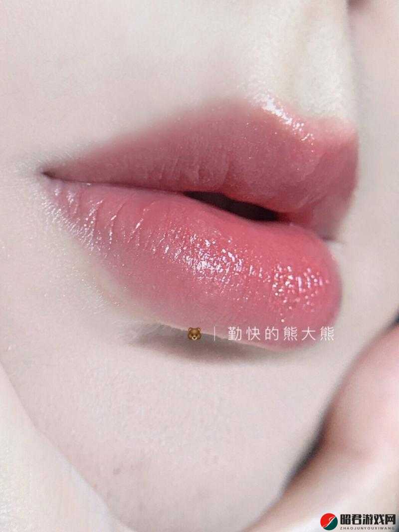 ysl 水蜜桃 861-让你展现迷人魅力的绝美唇色