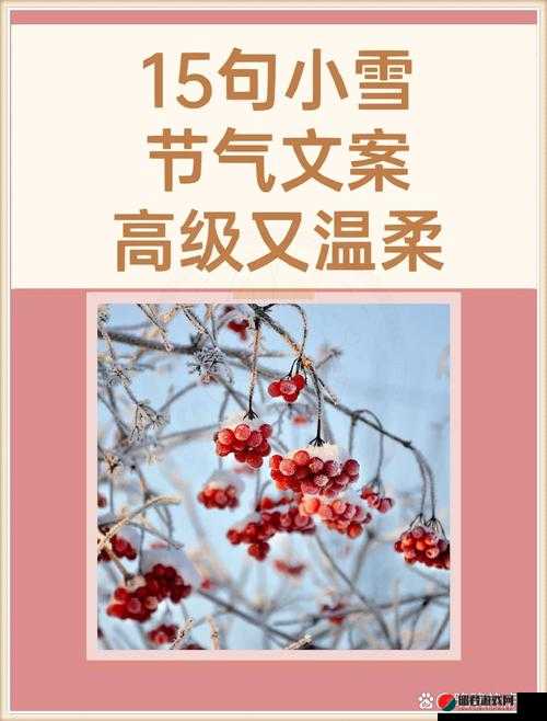 啊 小雪 轻点 奶头痛免费：在雪地里感受温柔与呵护