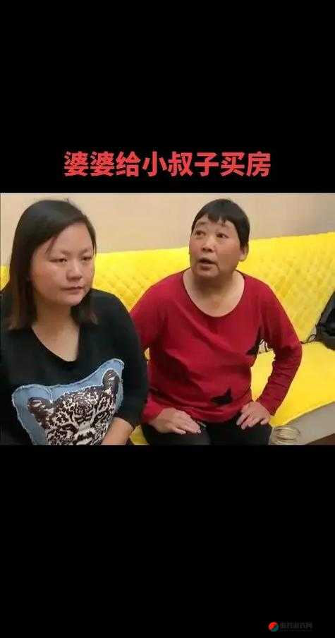 几个老婆婆的 BGM 视频：展现别样的生活与情感故事