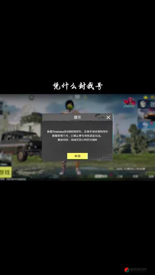 100 种禁用的视频软件 IOS：探索背后的封禁原因及影响