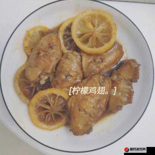 揭秘黑暗料理王柠檬鸡翅的皇冠配方，品味独特美味同时实现利润最大化