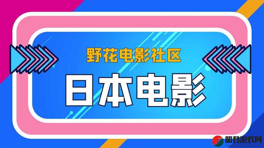 野花日本大全免费观看中文 7：畅享精彩日本影视之旅