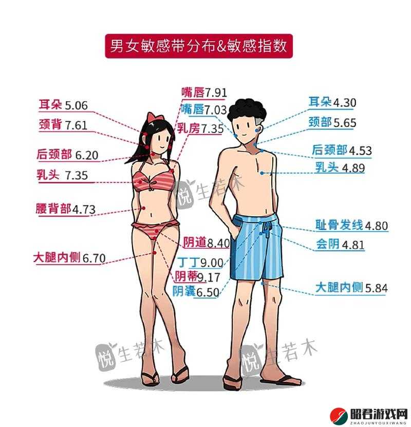 男女之间的私密声音：探索差异与和谐