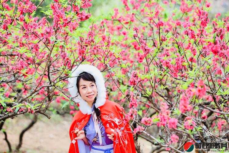 桃红色世界官网进口：畅享独特魅力之奇幻之旅