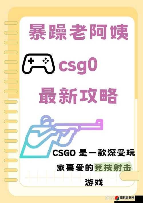 暴躁老阿姨 CSGO 新手技巧：从菜鸟到高手的成长之路