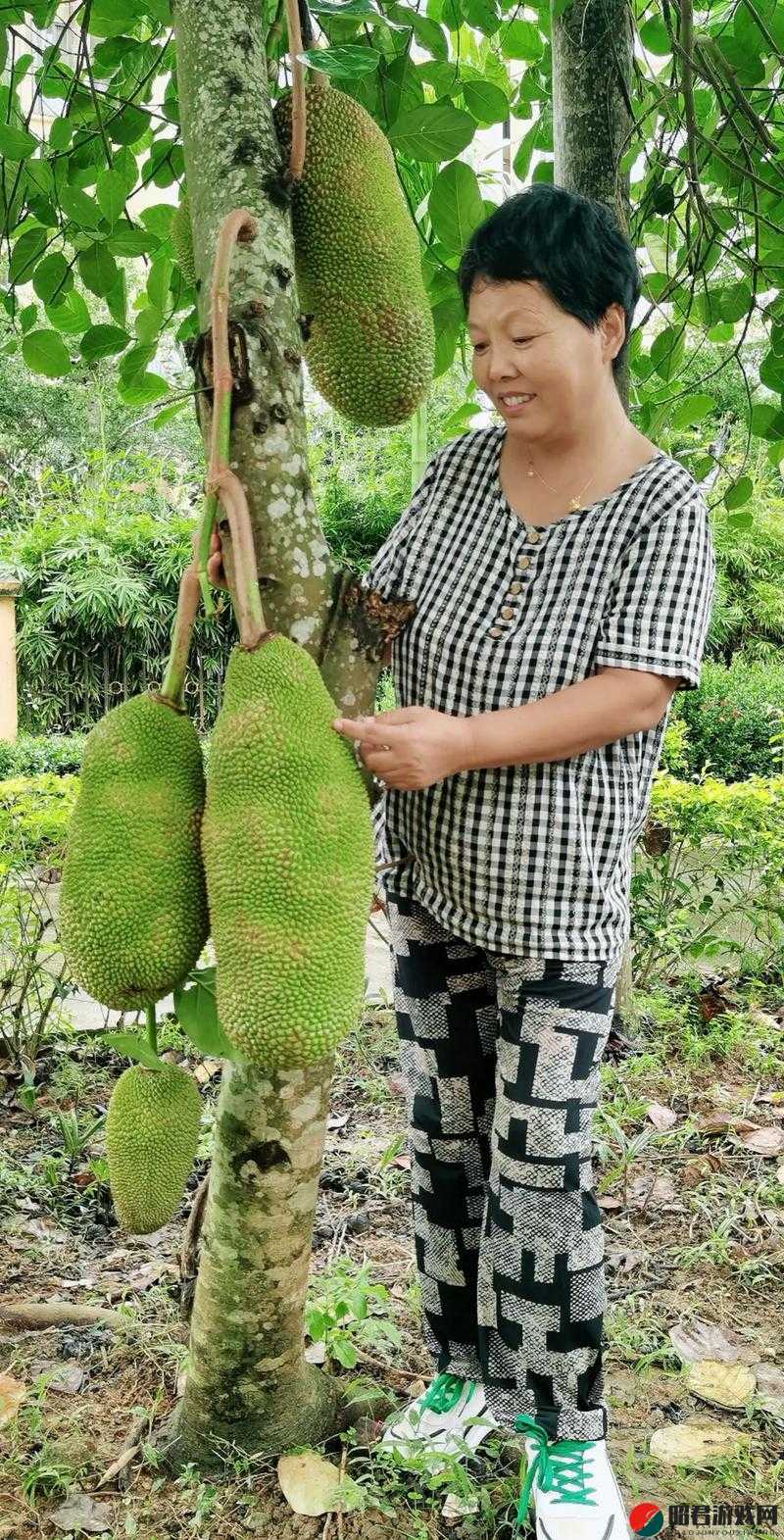 菠萝蜜视频在线观看大全高清：提供丰富多样的视频资源