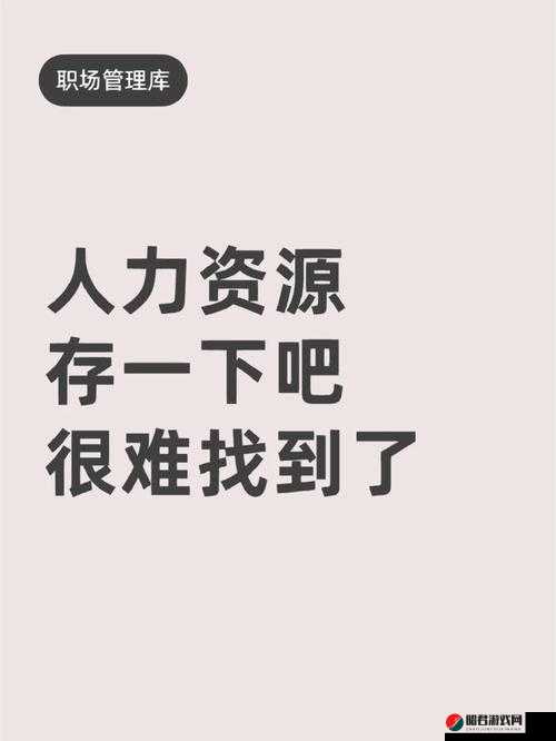 探索久产九人力资源有限公司丰沛有鱼：开启人力资源领域的创新之旅