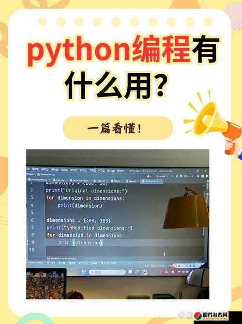 小电影 Python：一场编程与艺术的奇妙邂逅