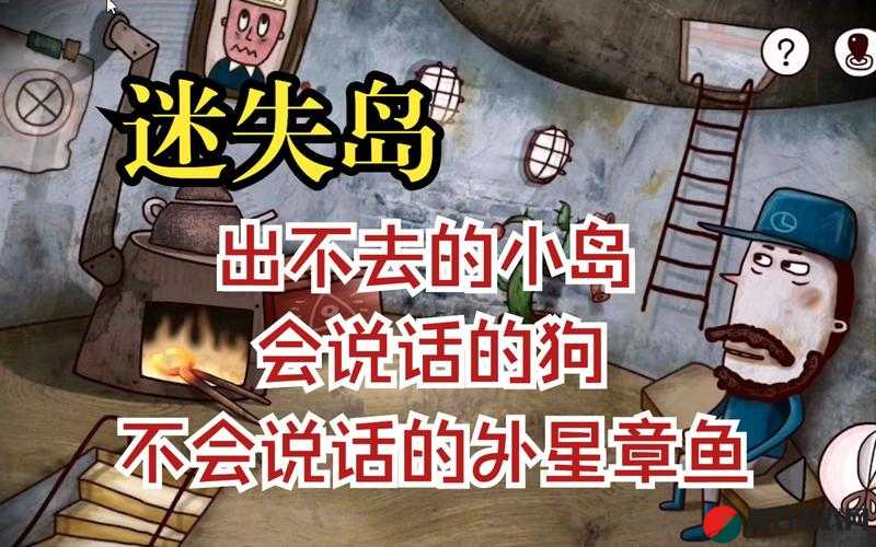 迷失岛探险指南，详解如何获取骨头并正确喂给狗狗的步骤