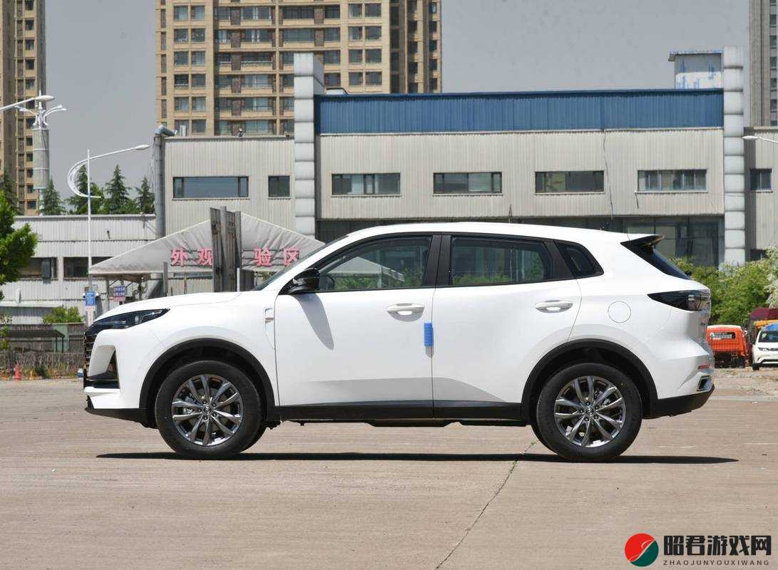 国产 SUV 一区二区：探索不同区域车型的特色与优势