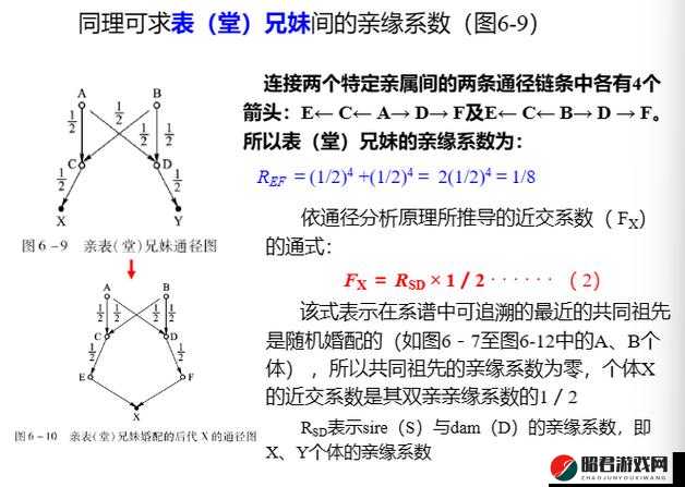 wx 与 wx 性状杂交：探索未知的遗传奥秘