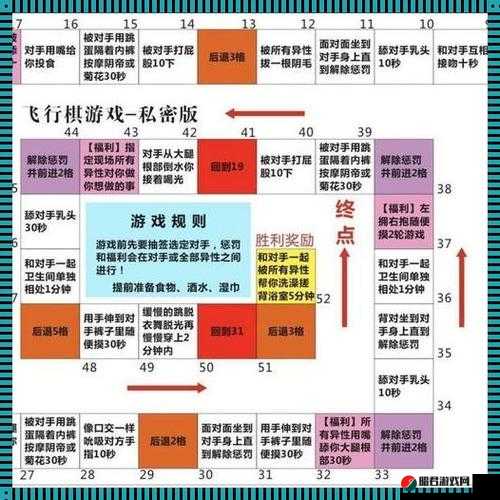 小圈惩罚规则表：详细解读与实际应用分析