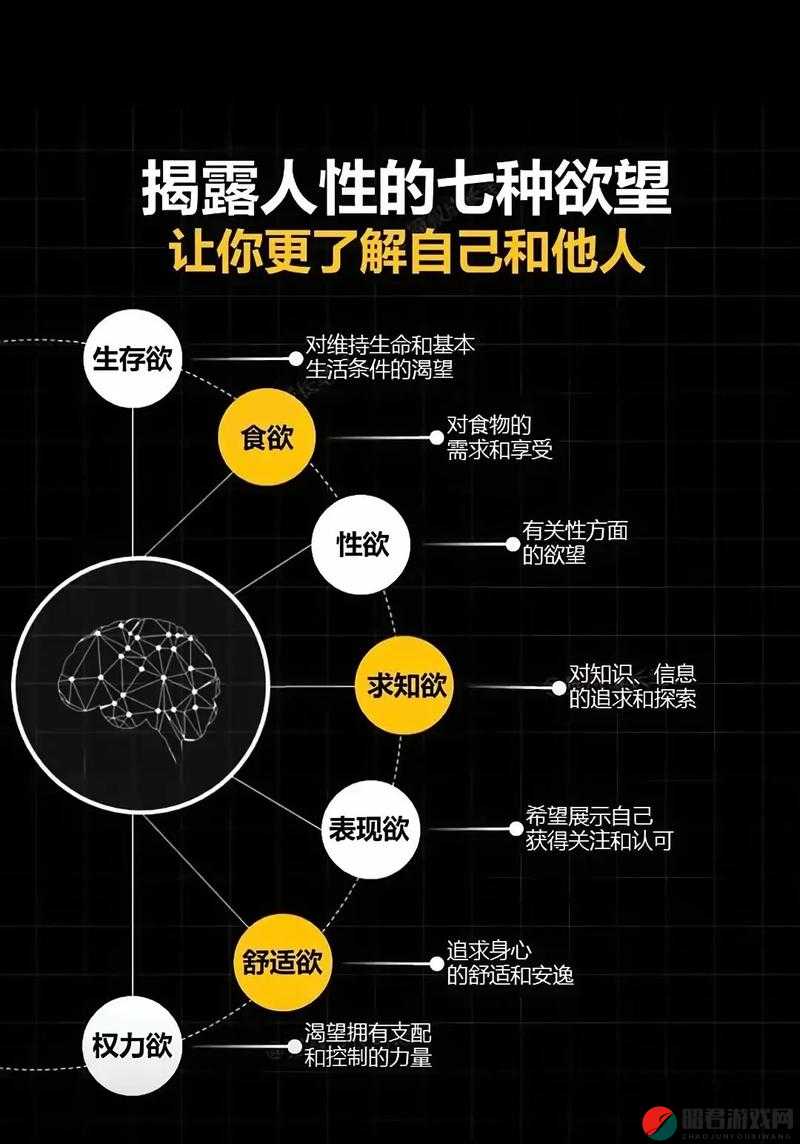 真实交videos5一丨0：探索人性与欲望的边界