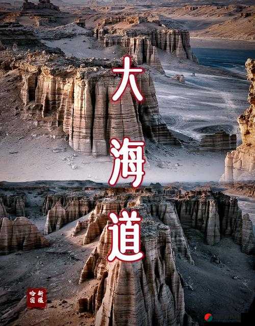 无人区一二三四五：探索神秘无人区的奇妙之旅