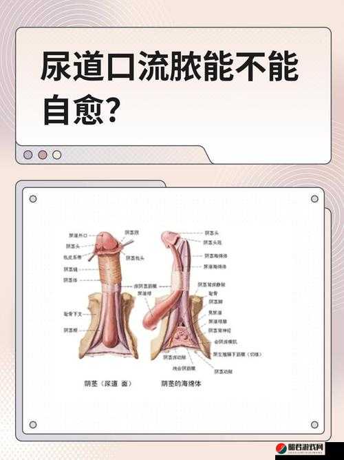 美女扒开尿口，竟让男人捅爽，令人震惊