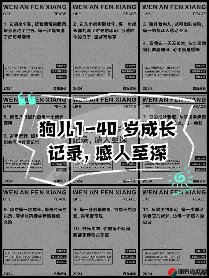 狗儿长大了：从 1 到 40 的成长故事