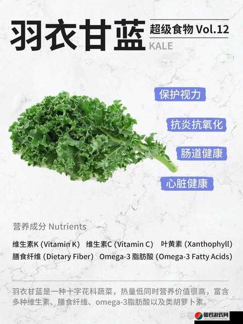 kale 是什么意思：对 kale 一词含义的详细解读与探讨