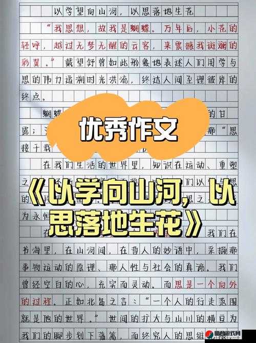 9999999999 万亿字作文：关于它的深入探讨与分析