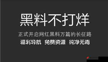 黑料不打烊 tttzzz 入口：揭秘娱乐圈内幕，你想知道的都在这里