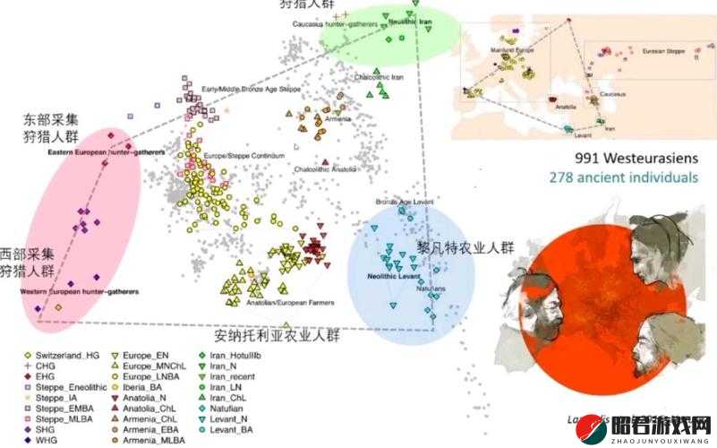 日本人与欧洲人 DNA 相似度之比较分析及其背后的意义探寻