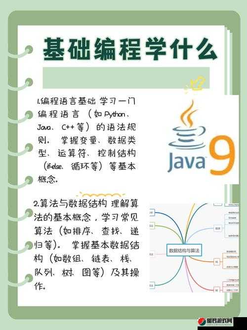 编程课主要学什么：编程基础、数据结构、算法、编程语言、项目实践等