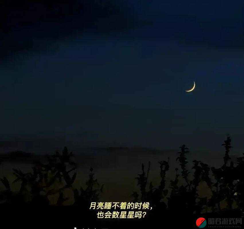 男生晚上睡不着想找点什么-不如起来看看夜空数数星星