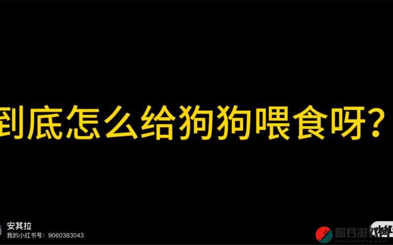 明日之后游戏指南，全面解析狗狗饮食秘籍及高效食物获取策略