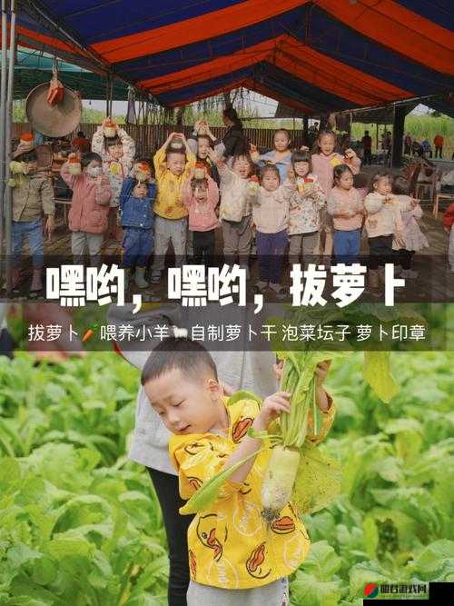 如何正确地挤牛奶和拔萝卜：实用技巧分享