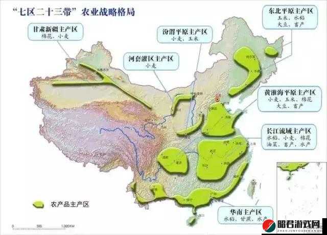 一线产区和二线产区的差距原因是什么：解析产区差异的关键因素