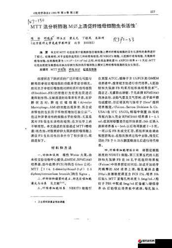 TT 下路 1xn：关于其具体内容与相关分析探讨