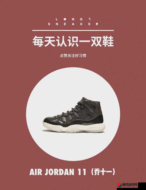 宿舍里那独特的 AJ11 飞机般的存在